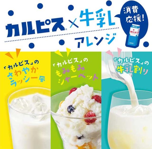 ASAHI - Sirop Calpis concentré - 470ml – Image 2