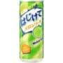 SANGARIA - Hajikete Melon sparkling - 250ml